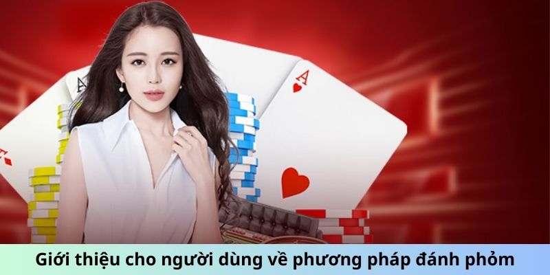 Giới thiệu cho người dùng về phương pháp đánh phỏm online